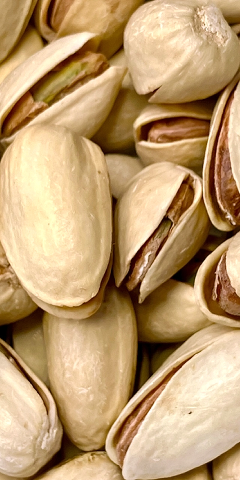 素材のフルーツ